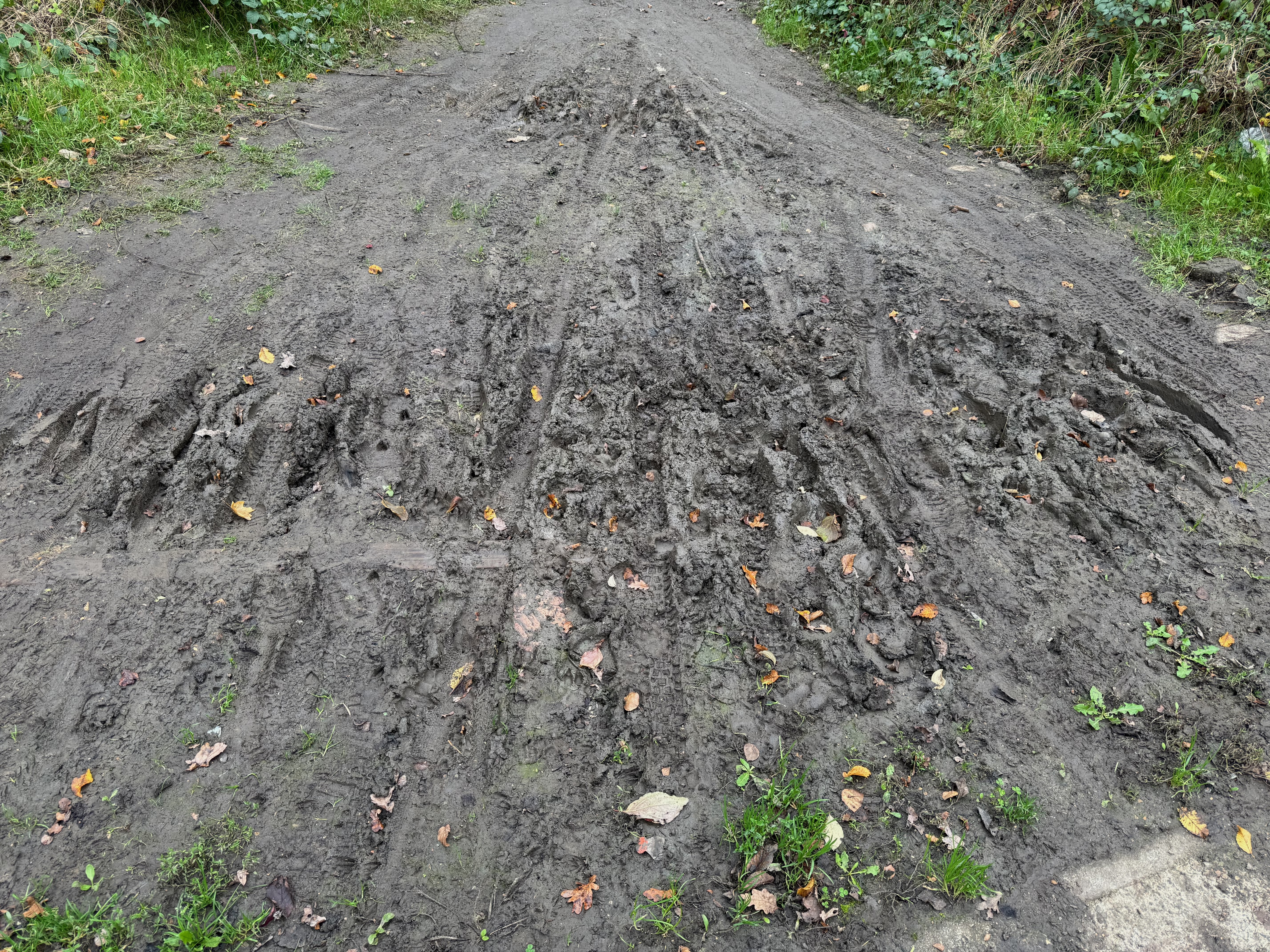 paths